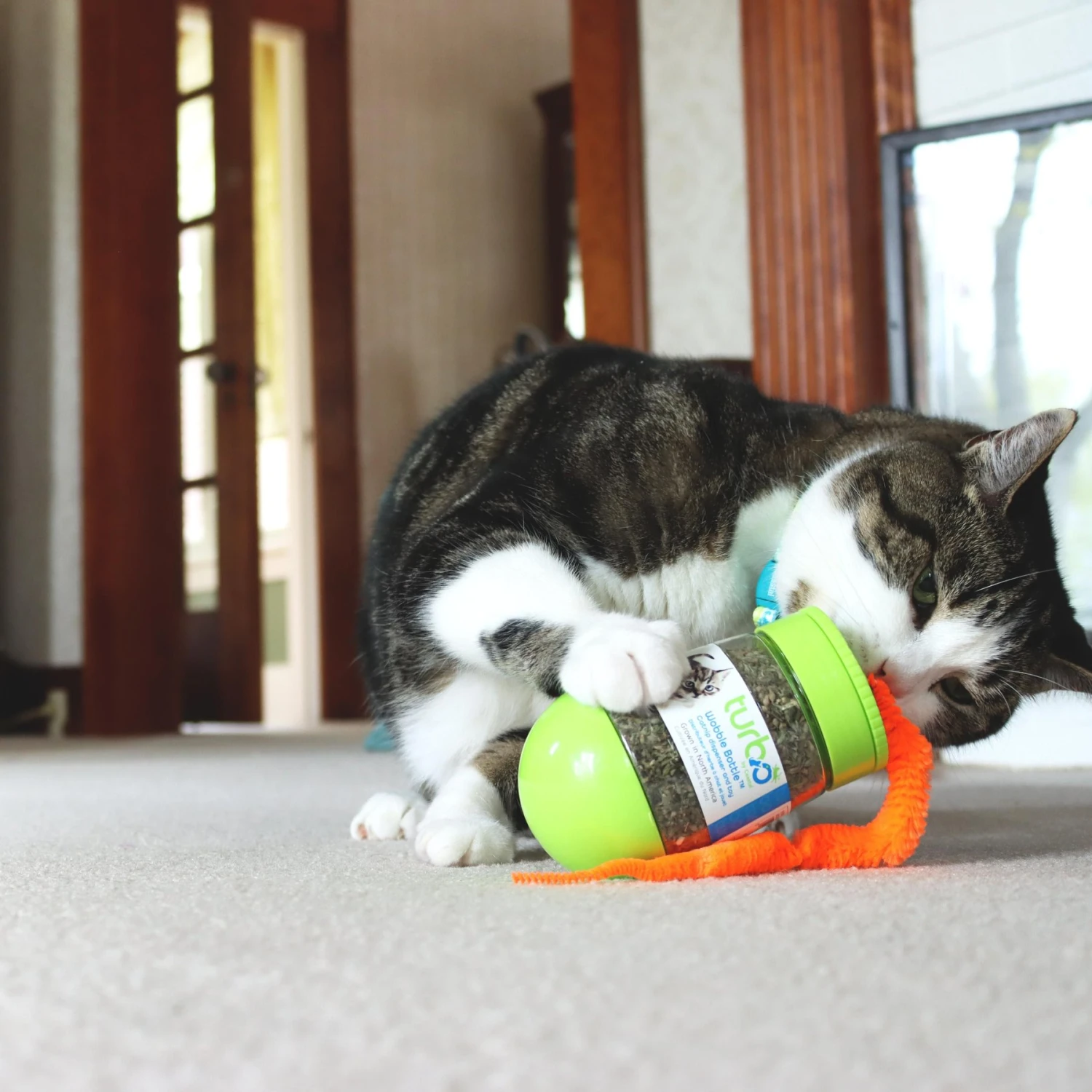 Turbo Wobble Bottle Cat Toy With Catnip 4 Turbo Wobble Bottle Cat Toy With Catnip - Image 4