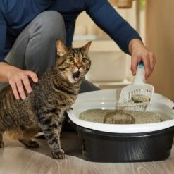 Arm & Hammer Litter Slide Multi-Cat Scented Clumping Clay Cat Litter -Cat Supplies 207535 PT3. AC SS1800 V1676491989