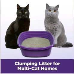 Arm & Hammer Litter Slide Multi-Cat Scented Clumping Clay Cat Litter -Cat Supplies 207535 PT5. AC SS1800 V1676491992