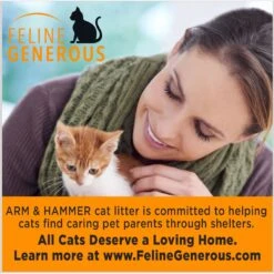 Arm & Hammer Litter Slide Multi-Cat Scented Clumping Clay Cat Litter -Cat Supplies 207535 PT6. AC SS1800 V1676491989