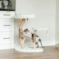 Mau Lifestyle Rizzo 32-in Modern Wooden Cat Tree -Cat Supplies 211709 PT1. AC SS1800 V1626360178