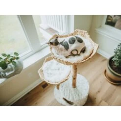 Mau Lifestyle Cento 46-in Modern Wooden Cat Tree & Condo -Cat Supplies 211729 PT4. AC SS1800 V1626748003