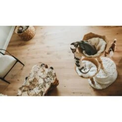 Mau Lifestyle Cento 46-in Modern Wooden Cat Tree & Condo -Cat Supplies 211729 PT6. AC SS1800 V1626744726