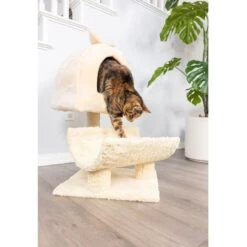 Armarkat 31-in Cat Scratching Post & Condo Cat Tree, Goldenrod -Cat Supplies 219012 PT3. AC SS1800 V1603333015