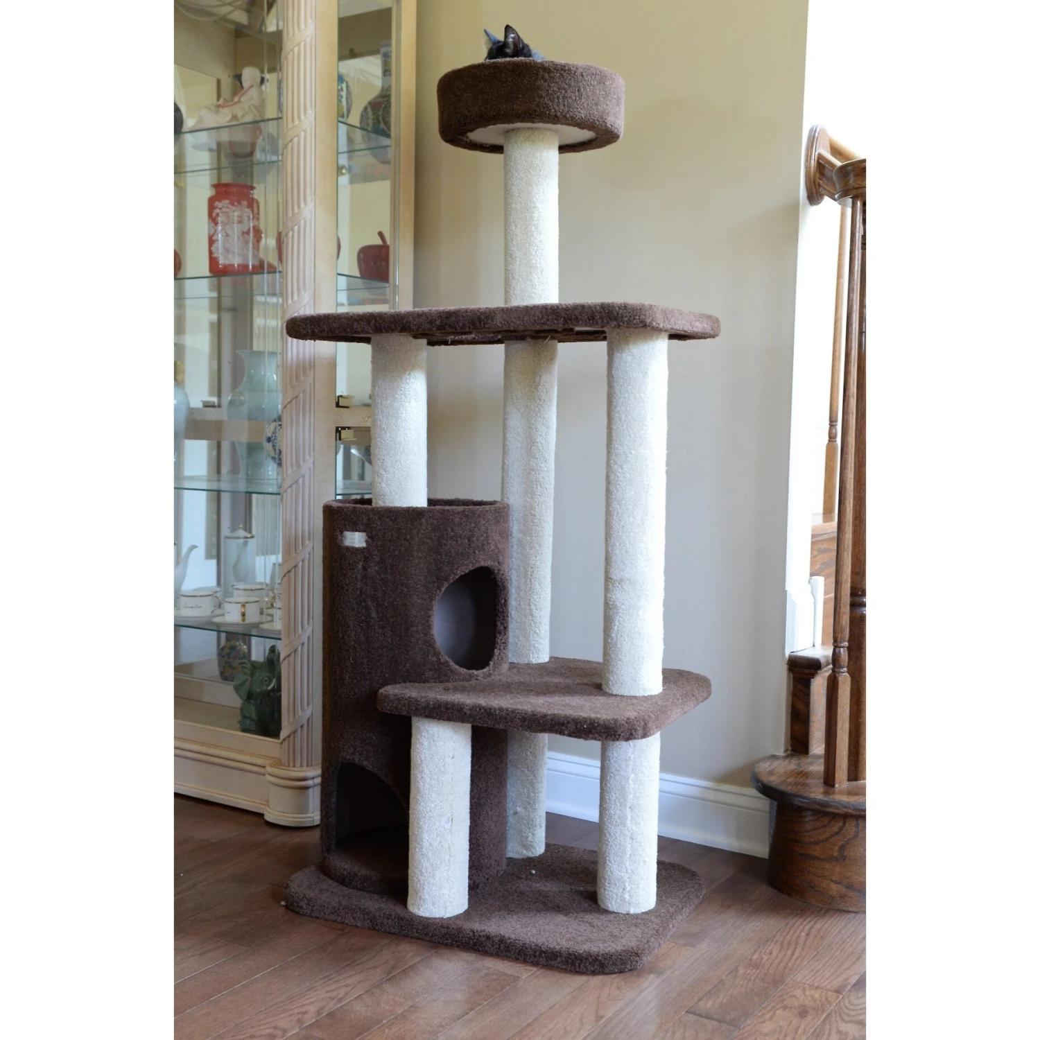 Armarkat 56-in Carpeted Condo Cat Tree, Brown 4 Armarkat 56-in Carpeted Condo Cat Tree, Brown - Image 4