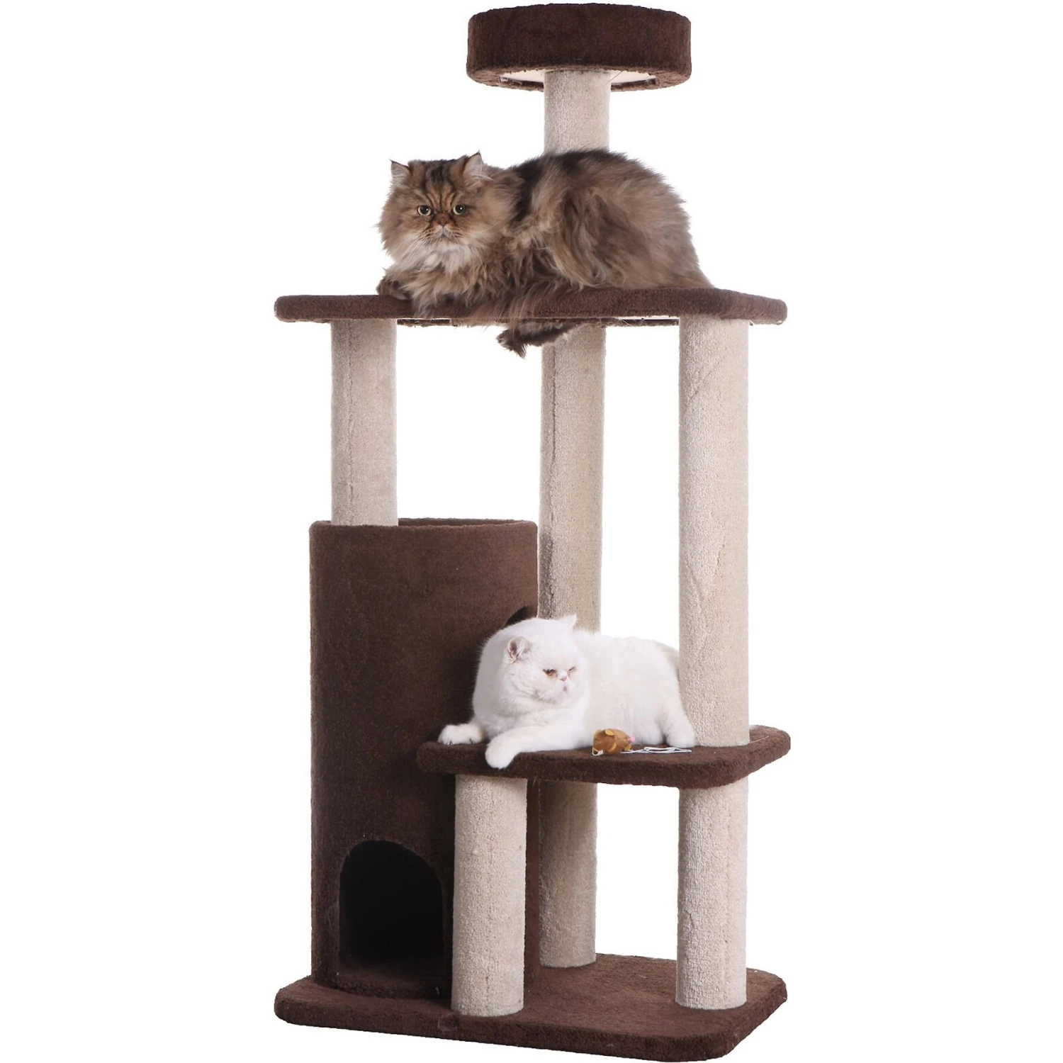 Armarkat 56-in Carpeted Condo Cat Tree, Brown 6 Armarkat 56-in Carpeted Condo Cat Tree, Brown - Image 6