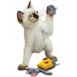 KONG Pull-A-Partz Cheezy Cat Toy -Cat Supplies 219705 PT2. AC SS1800 V1631759876