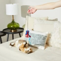 Marvel 's Spider-Man Bouncy Cat Toy With Catnip -Cat Supplies 220882 PT3. AC SS1800 V1621383267