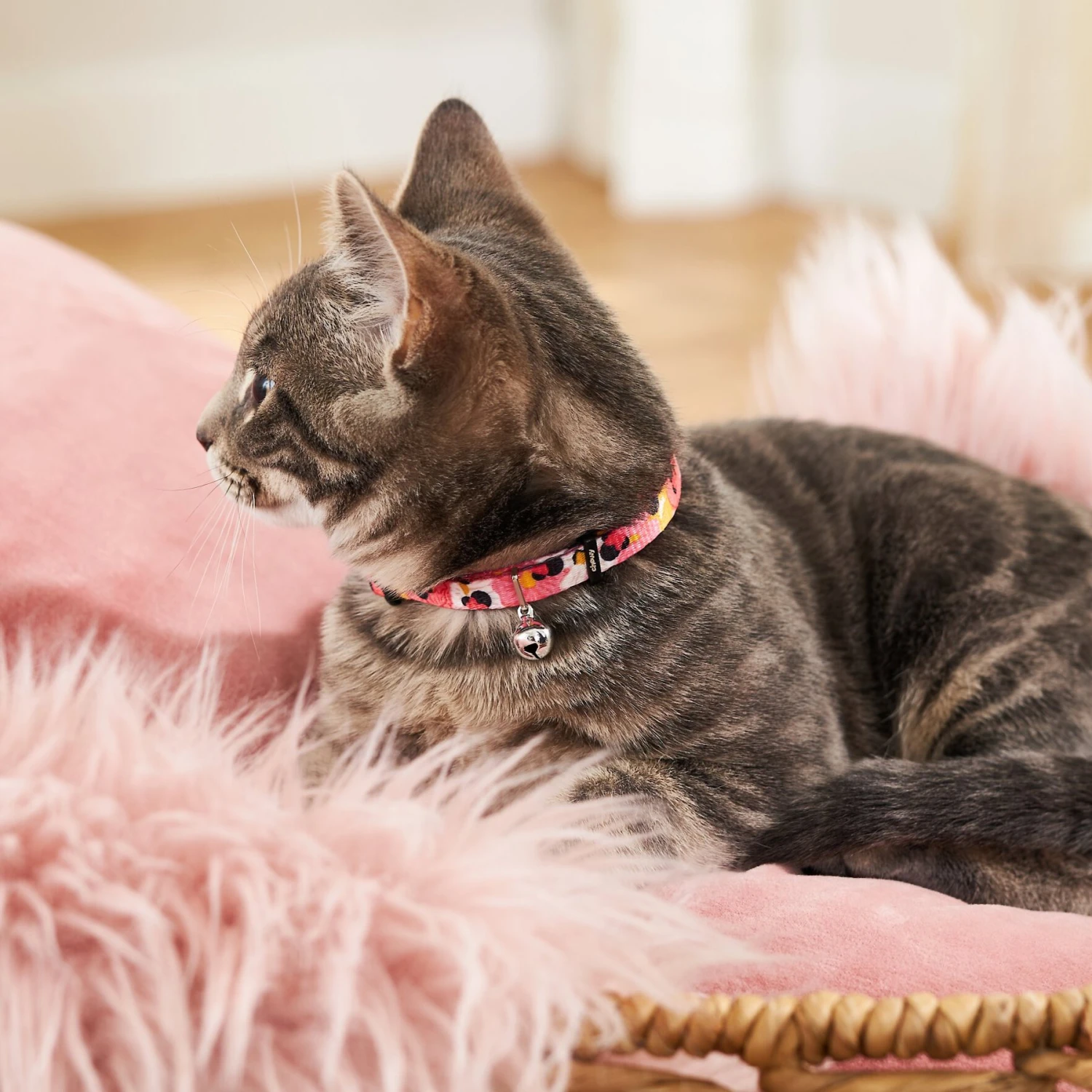 Disney Minnie Mouse Floral Cat Collar 5 Disney Minnie Mouse Floral Cat Collar - Image 5