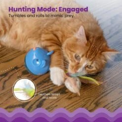 Catstages Hunt 'N Swat Treat Dispenser Cat Toy -Cat Supplies 227094 PT2. AC SS1800 V1636504086