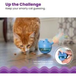 Catstages Hunt 'N Swat Treat Dispenser Cat Toy -Cat Supplies 227094 PT3. AC SS1800 V1636519015