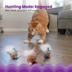 Catstages Mousin' Around Hide 'N Treat Dispenser Cat Toy, 3 Count -Cat Supplies 227096 PT2. AC SS1800 V1636513396