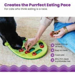 Nina Ottosson By Outward Hound Buggin' Out Puzzle & Play Cat Toy -Cat Supplies 227098 PT3. AC SS1800 V1636511821