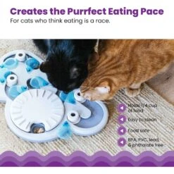Nina Ottosson By Outward Hound Rainy Day Puzzle & Play Cat Toy -Cat Supplies 227102 PT3. AC SS1800 V1636513619