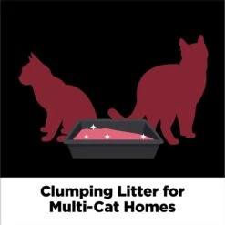 Arm & Hammer Litter Platinum Clump & Seal Cat Litter 13 Arm & Hammer Litter Platinum Clump & Seal Cat Litter -Cat Supplies 229238 PT4. AC SS1800 V1663797650