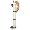 CatastrophiCreations Sisal Cat Climbing Pole