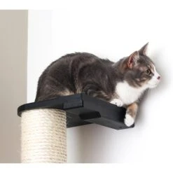 CatastrophiCreations Sisal Cat Climbing Pole -Cat Supplies 229621 PT2. AC SS1800 V1645488542