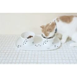 Necoichi Double Dining Tray Set & Elevated Cat Bowls 14 Necoichi Double Dining Tray Set & Elevated Cat Bowls -Cat Supplies 230660 PT5. AC SS1800 V1631312470