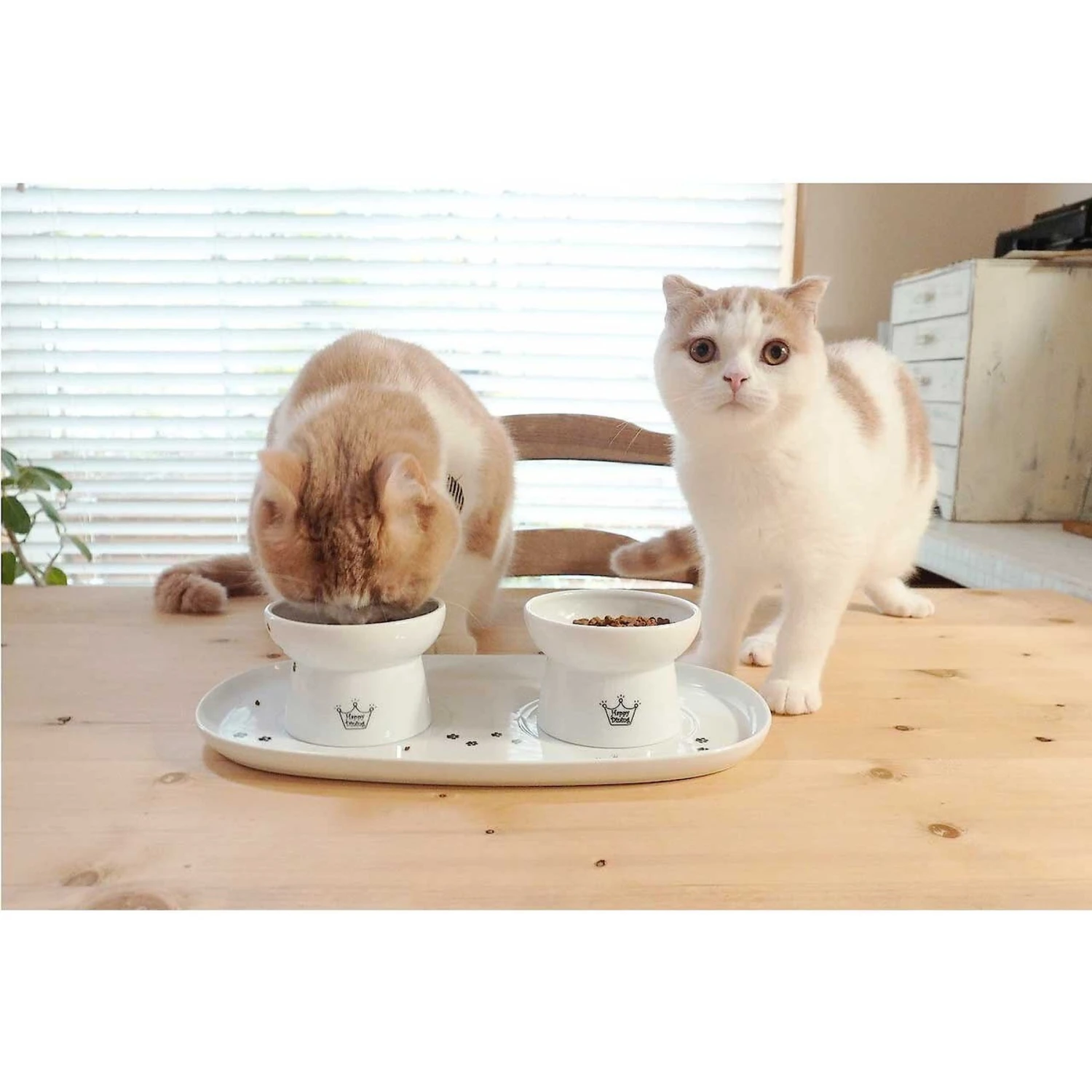 Necoichi Double Dining Tray Set & Elevated Cat Bowls 7 Necoichi Double Dining Tray Set & Elevated Cat Bowls - Image 7