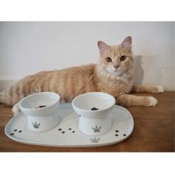 Necoichi Double Dining Tray Set & Elevated Cat Bowls 17 Necoichi Double Dining Tray Set & Elevated Cat Bowls -Cat Supplies 230660 PT8. AC SS1800 V1631312193