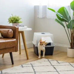 IRIS USA Enclosed With Front Door Flap & Scoop Cat Litter Box -Cat Supplies 231660 PT5. AC SS1800 V1680811968