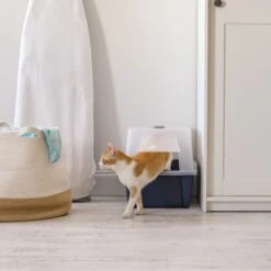 IRIS USA Enclosed With Front Door Flap & Scoop Cat Litter Box -Cat Supplies 231660 PT6. AC SS1800 V1680812032