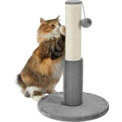 Frisco 21-in Sisal Cat Scratching Post With Toy & Groomer -Cat Supplies 236533 PT2. AC SS1800 V1615987395
