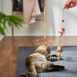 STAR WARS GALACTIC EMPIRE Ice Cream Scoops Bouncy Cat Toy With Catnip -Cat Supplies 239883 PT3. AC SS1800 V1624648377