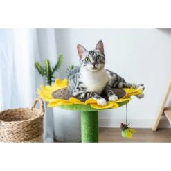 Catry Sunflower 23.2-in Sisal Cat Scratching Post With Toy -Cat Supplies 244332 PT5. AC SS1800 V1595019083