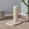 Two By Two City Cat Deluxe European 24-in Faux-Fur Cat Scratching Post