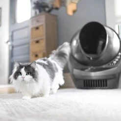 Litter-Robot 3 WiFi Enabled Automatic Self-Cleaning Cat Litter Box -Cat Supplies 251802 PT8. AC SS1800 V1617988915