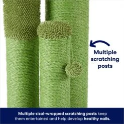 Frisco Cactus Cat Scratching Post -Cat Supplies 252548 PT2. AC SS1800 V1667229384