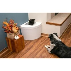 Kitangle Top Entry Cat Litter Box, Large -Cat Supplies 252802 PT3. AC SS1800 V1600906323