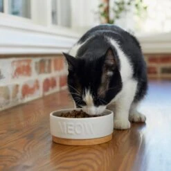 Frisco Round Meow Non-skid Ceramic Cat Bowl With Wood Base 8 Frisco Round Meow Non-skid Ceramic Cat Bowl With Wood Base -Cat Supplies 256078 PT2. AC SS1800 V1615313612