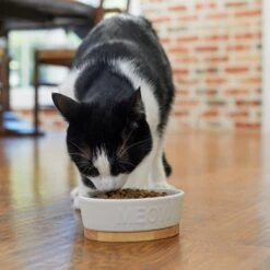 Frisco Oval Meow Non-skid Ceramic Cat Bowl With Wood Base -Cat Supplies 256080 PT2. AC SS1800 V1615310782