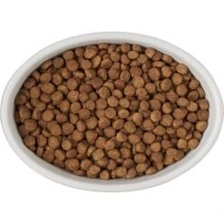 Frisco Oval Meow Non-skid Ceramic Cat Bowl With Wood Base -Cat Supplies 256080 PT5. AC SS1800 V1615312016