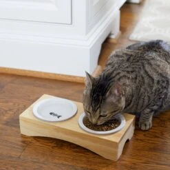 Frisco Double Elevated Cat Bowl With Wood Stand -Cat Supplies 256082 PT2. AC SS1800 V1615312650