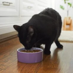 Frisco Kaleidoscope Pattern Non-skid Ceramic Dog & Cat Bowl -Cat Supplies 256090 PT2. AC SS1800 V1615311092