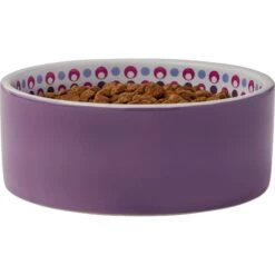 Frisco Kaleidoscope Pattern Non-skid Ceramic Dog & Cat Bowl -Cat Supplies 256090 PT3. AC SS1800 V1615311698