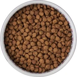 Frisco Kaleidoscope Pattern Non-skid Ceramic Dog & Cat Bowl -Cat Supplies 256090 PT5. AC SS1800 V1615312887