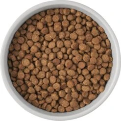 Frisco Cat Print Non-Skid Elevated Ceramic Cat Bowl, Tall -Cat Supplies 256099 PT4. AC SS1800 V1616522538