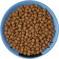 Frisco Cat Face Non-skid Ceramic Cat Dish, Blue -Cat Supplies 256101 PT5. AC SS1800 V1615321282