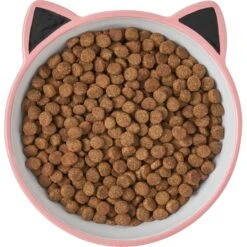 Frisco Cat Face Non-skid Ceramic Cat Bowl, Pink -Cat Supplies 256107 PT5. AC SS1800 V1616522494