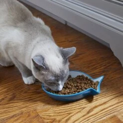 Frisco Fish Shaped Non-skid Ceramic Cat Dish -Cat Supplies 256109 PT3. AC SS1800 V1617196297