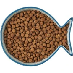 Frisco Fish Shaped Non-skid Ceramic Cat Bowl -Cat Supplies 256111 PT5. AC SS1800 V1616522555