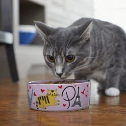 Frisco Paris Non-skid Ceramic Cat Dish -Cat Supplies 256117 PT2. AC SS1800 V1615311397