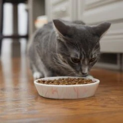 Frisco Marble Design Non-skid Ceramic Cat Bowl 11 Frisco Marble Design Non-skid Ceramic Cat Bowl -Cat Supplies 256125 PT6. AC SS1800 V1617037714