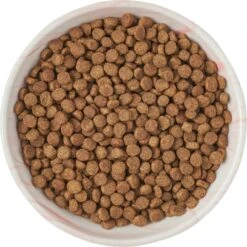 Frisco Marble Design Non-skid Ceramic Cat Dish -Cat Supplies 256127 PT5. AC SS1800 V1615321285