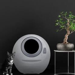 Casa Leo Leo's Loo Covered Automatic Self-Cleaning Cat Litter Box 11 Casa Leo Leo's Loo Covered Automatic Self-Cleaning Cat Litter Box -Cat Supplies 257260 PT2. AC SS1800 V1651423886