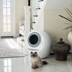 Casa Leo Leo's Loo Covered Automatic Self-Cleaning Cat Litter Box 17 Casa Leo Leo's Loo Covered Automatic Self-Cleaning Cat Litter Box -Cat Supplies 257260 PT8. AC SS1800 V1651423882